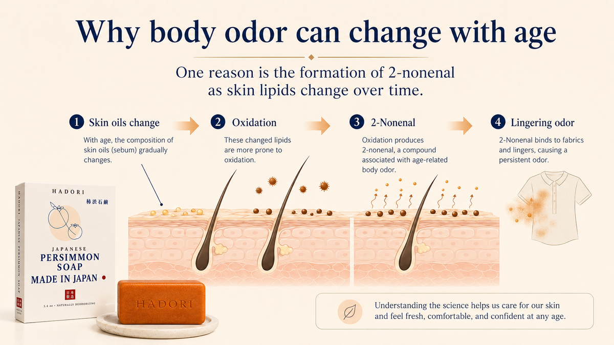 Illustration explaining how body odor can change with age