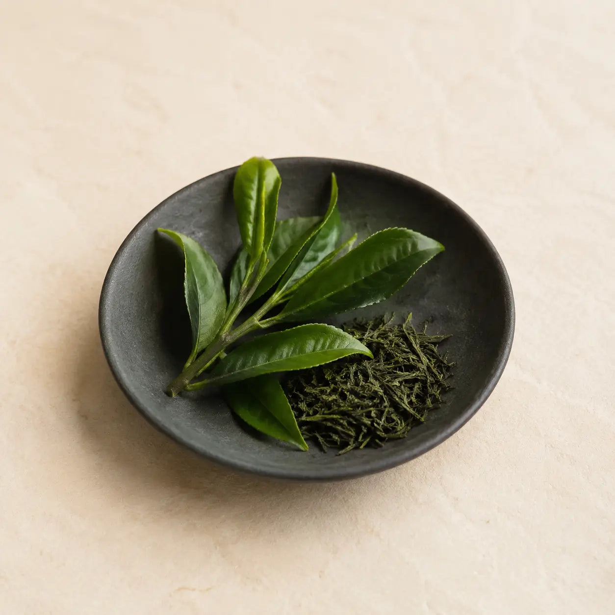 Fresh green tea leaves and loose Japanese sencha